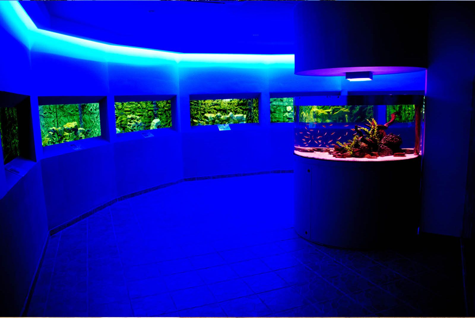 Protaras Ocean Aquarium  Cyprus