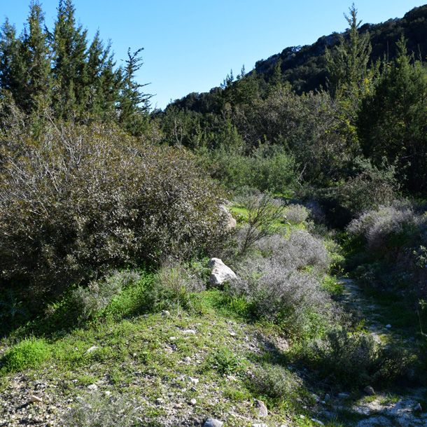Nature Trails in Cyprus