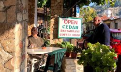 Cedar Restaurant in Cyprus