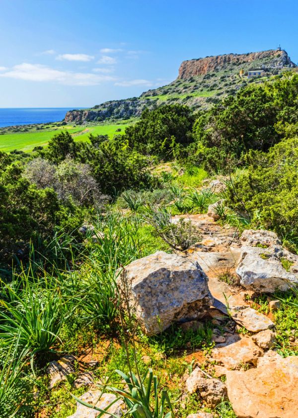Cyprus Cape Gkreko Kavos Trail
