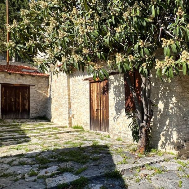 Vine Museum in Koilani Village Cyprus