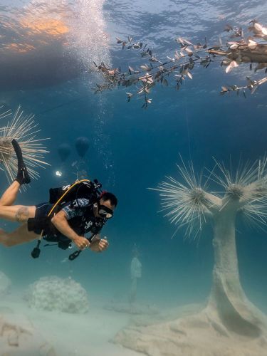 Scuba Diving - Musan Underwater Sculpture Park