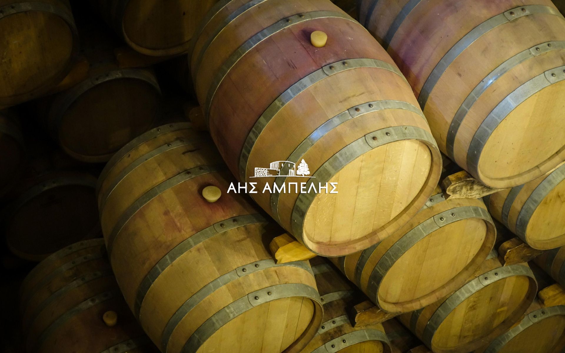 Aes Ampelis Winery in Cyprus