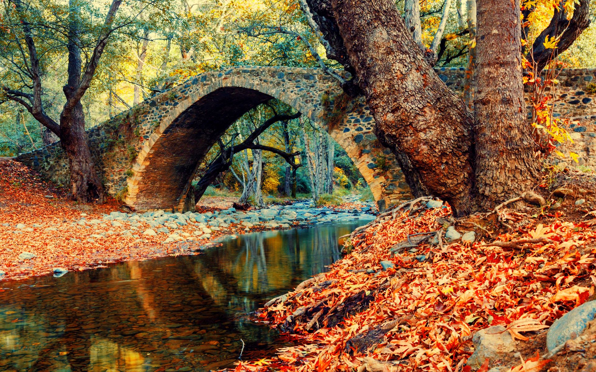 5 Places to visit on autumn
