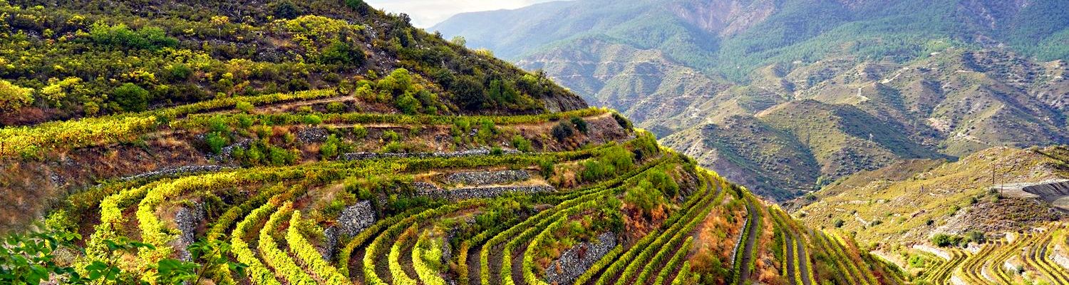 Troodos Mountains Wineries