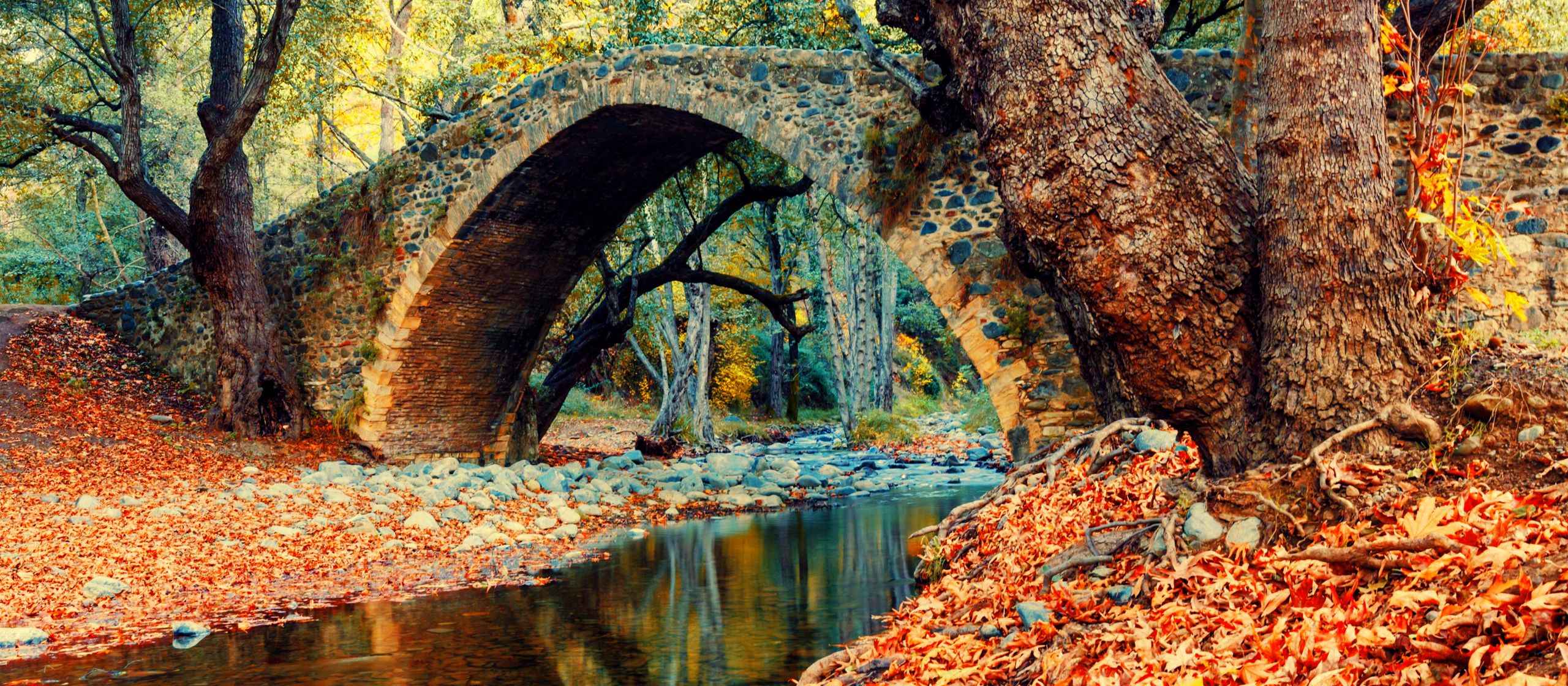 5 Places in Cyprus to see autumn coloursin Cyprus