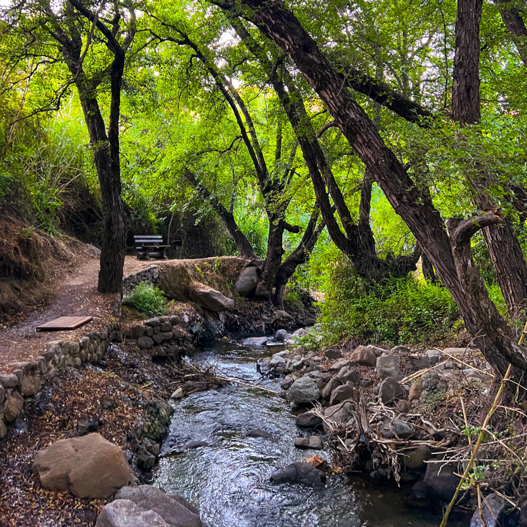 Nature Trails in Cyprus