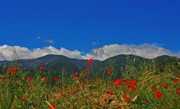 Troodos Mountains in Cyprus