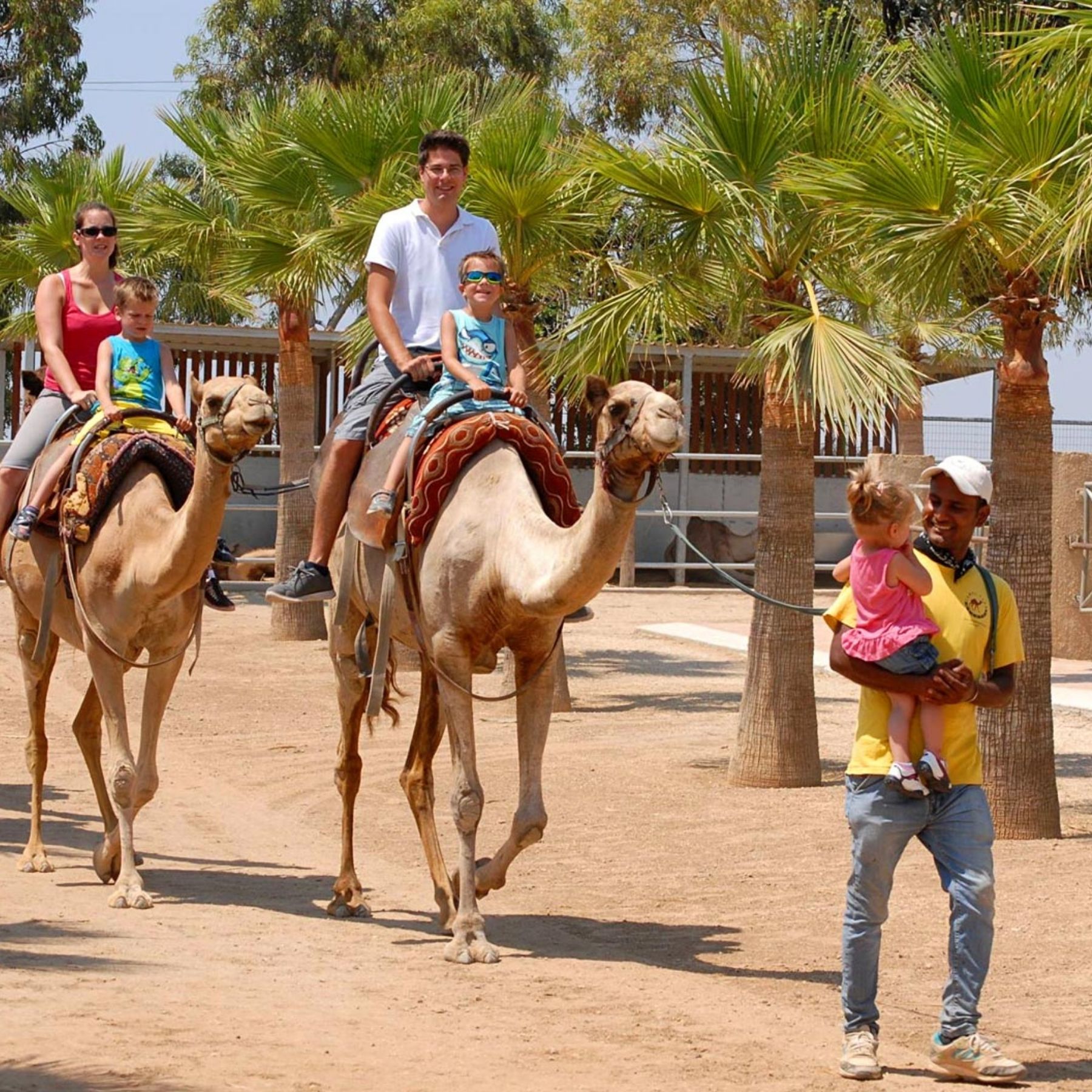 Camel Park Cyprus