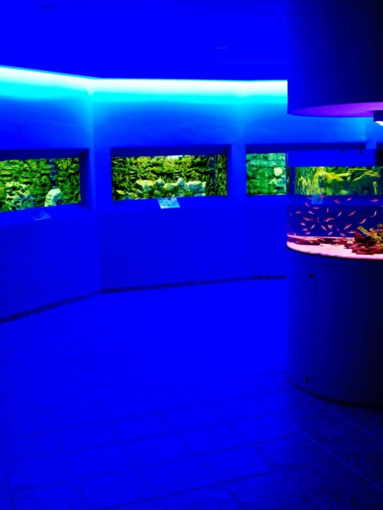 Protaras Ocean Aquarium in Cyprus