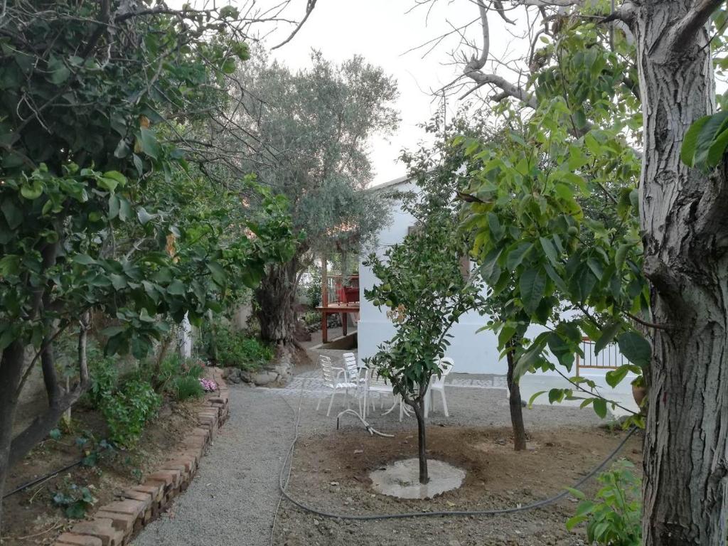 Villa Stis Andronikis  in Cyprus 