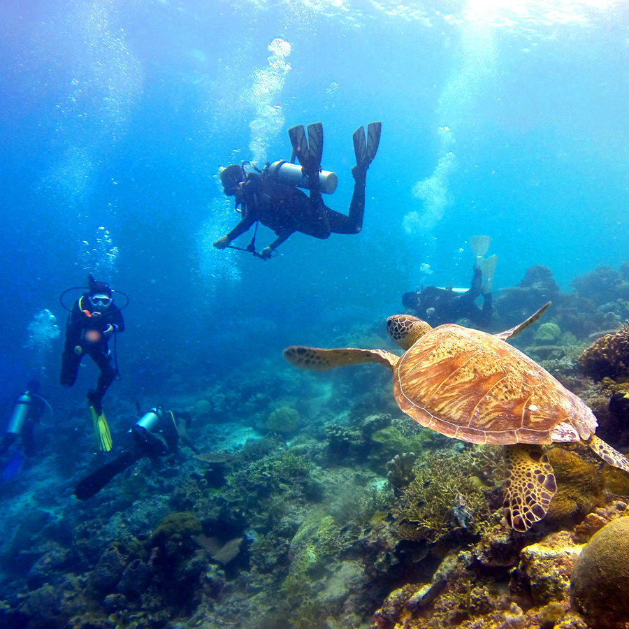 Scuba Diving in Cyprus