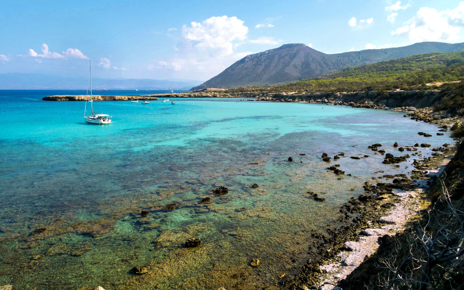 Blue Lagoon Cruise (Akamas Peninsula) in Cyprus