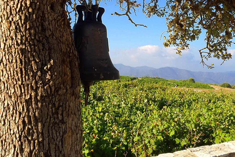 Paphos Wine Routes in Cyprus