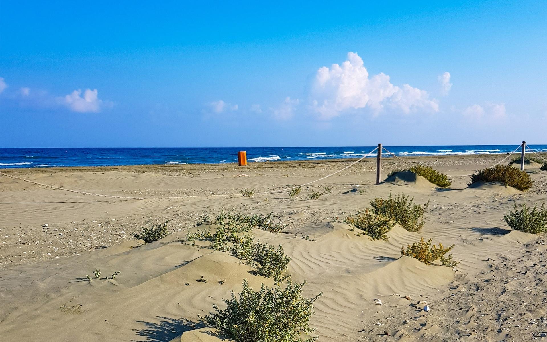 Meneou Beach in Cyprus