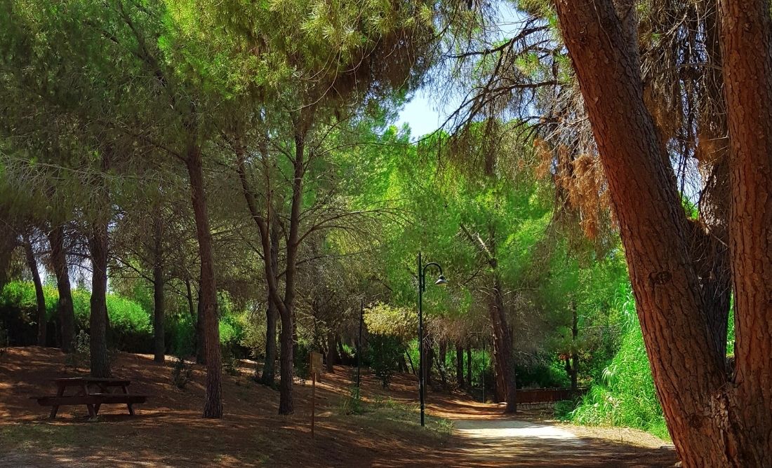 The Agios Georgios Park in Cyprus