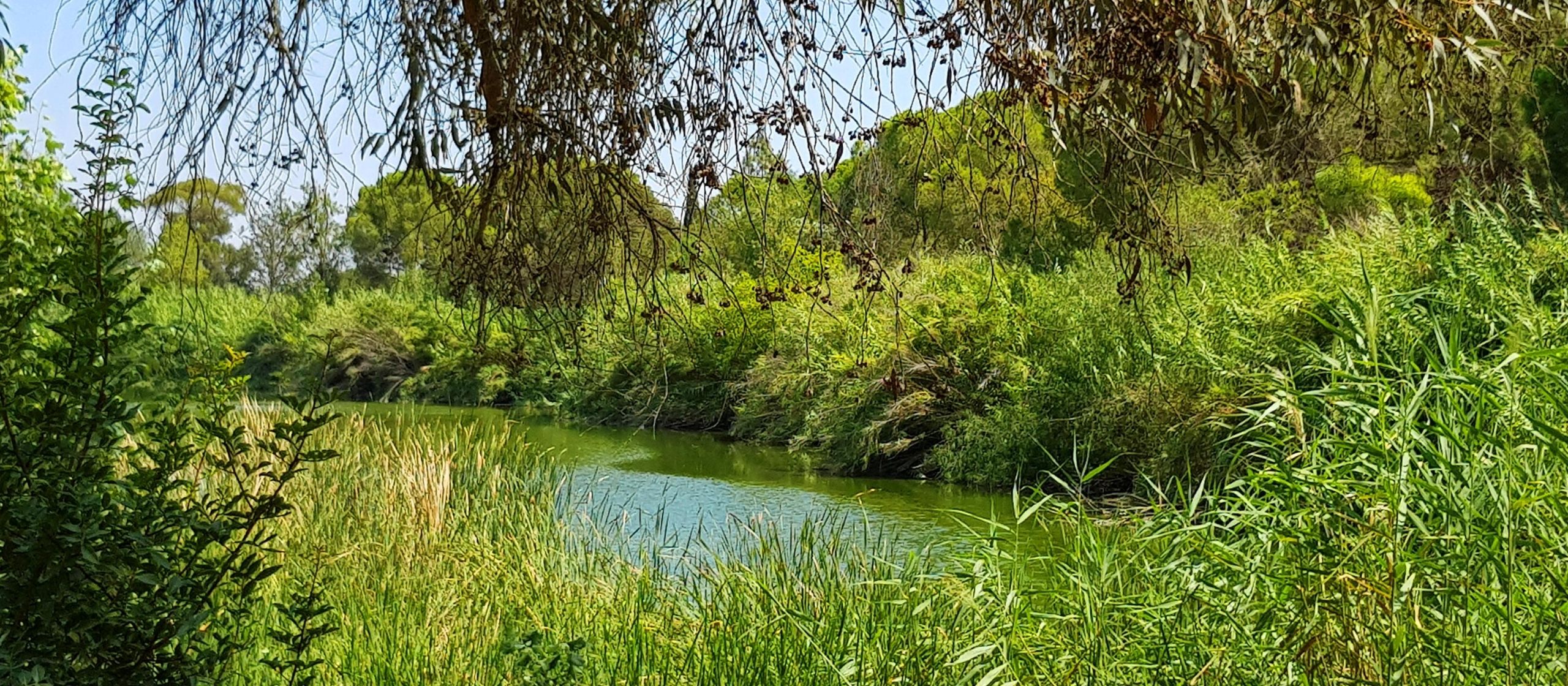 Athalassa National Forest Park in Cyprus