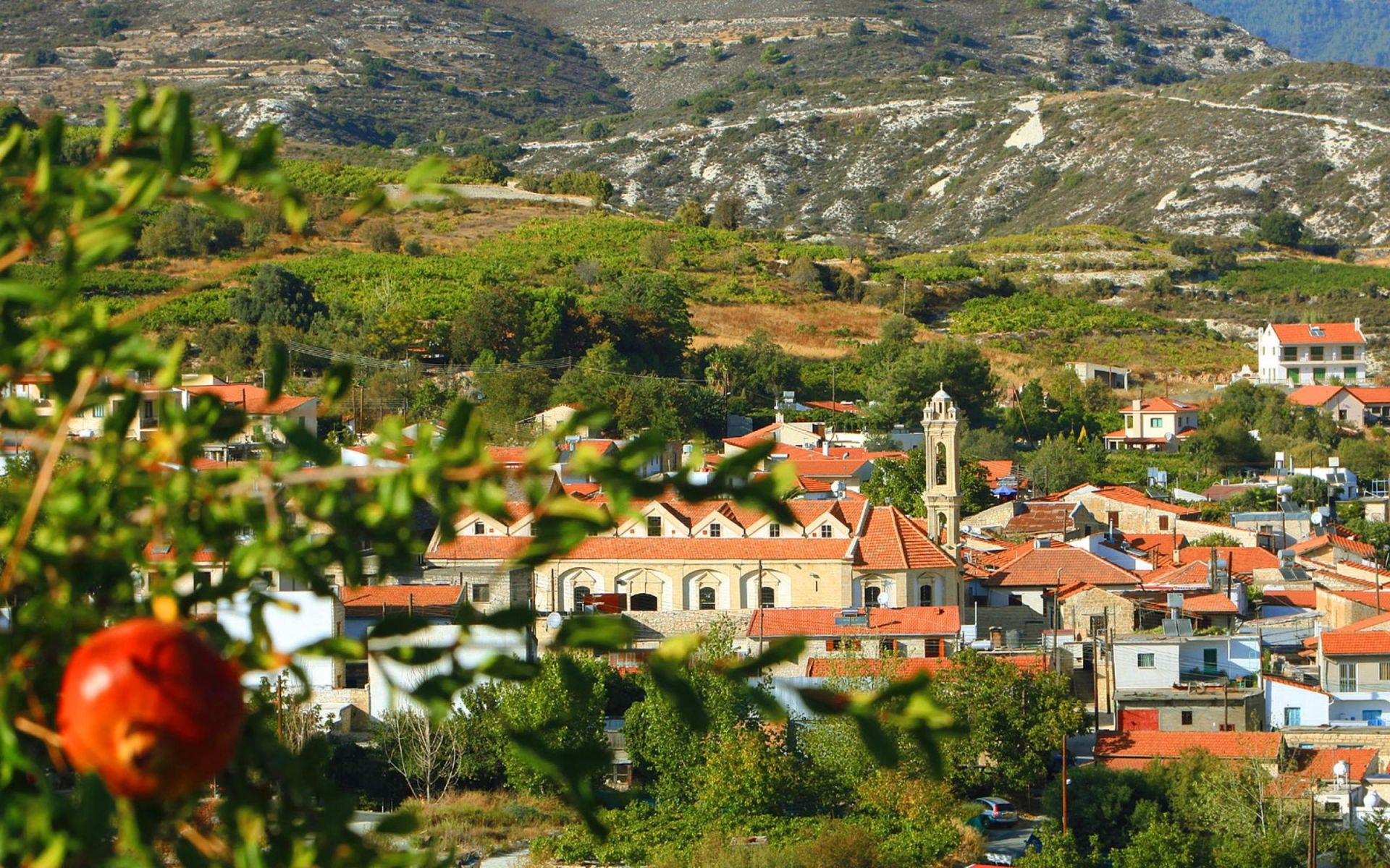 Krasochoria ( Limassol Wine Villages )
