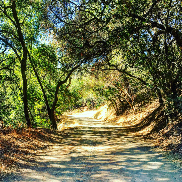 Arsos Nature Trail in Cyprus