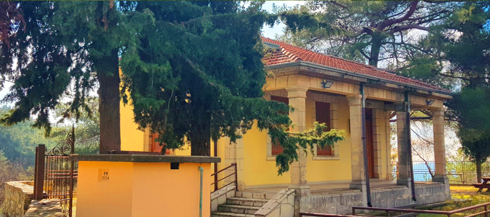 The School in Cyprus