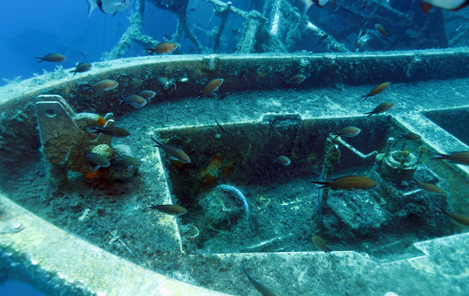 Cyprus Zenobia Wreck Larnaca