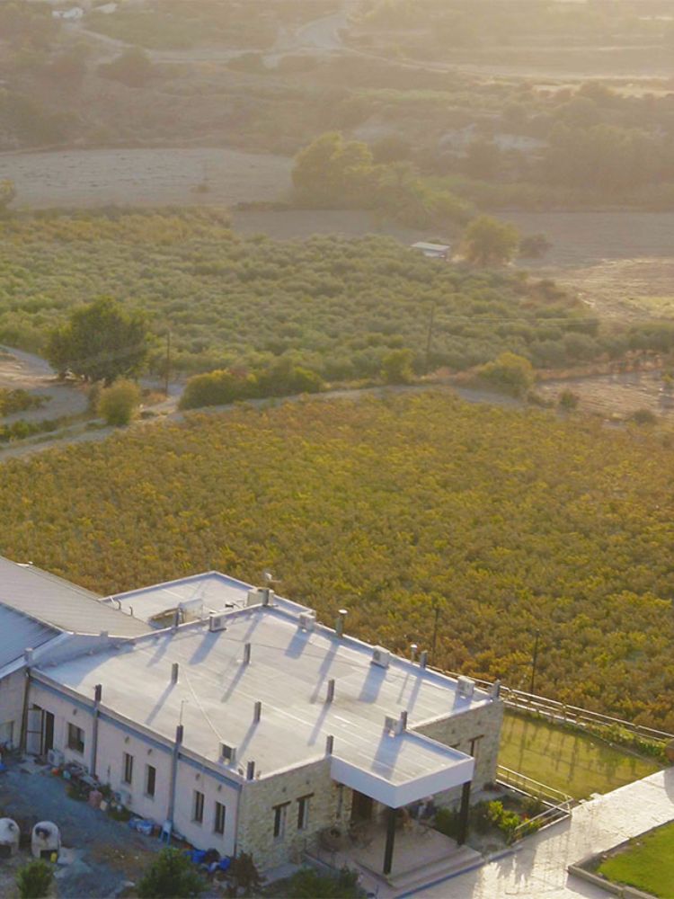 Christoudia Winery in Cyprus