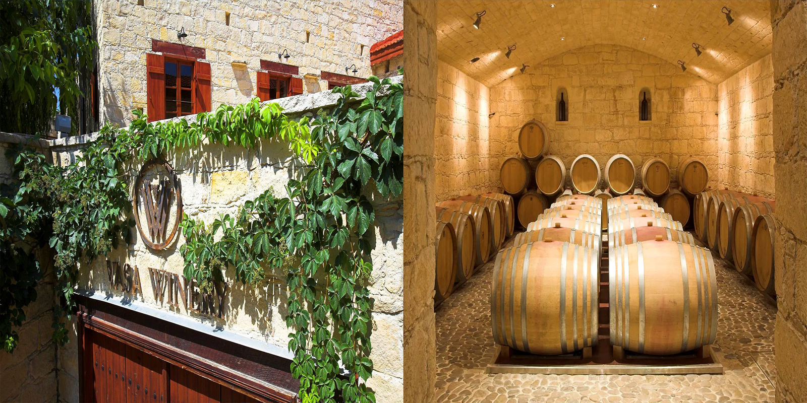 Vasa Winery in Cyprus