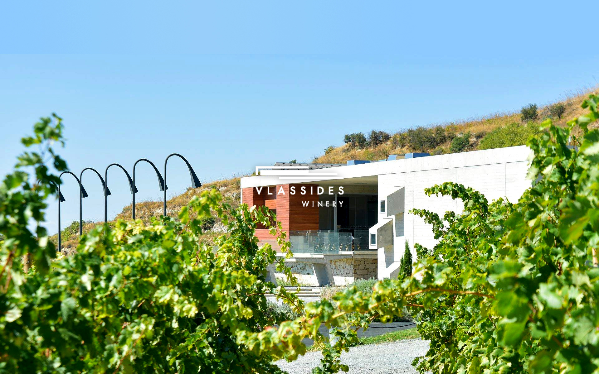 Vlassides Winery in Cyprus