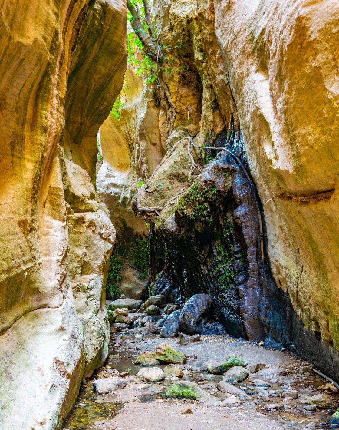 Avakas Gorge Trail