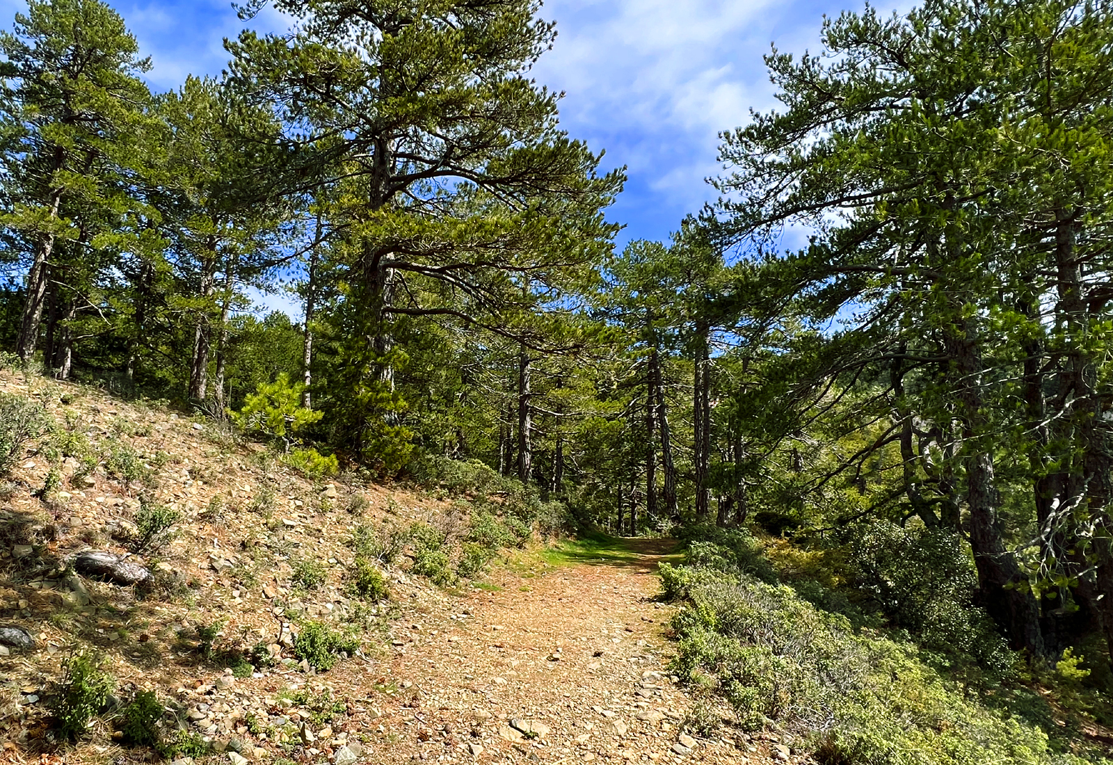 Kampos Tou Livadiou Trail in Cyprus