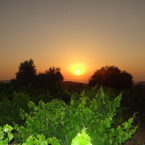 Sunset in Cyprus